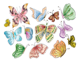 Butterfly Collage Notecard