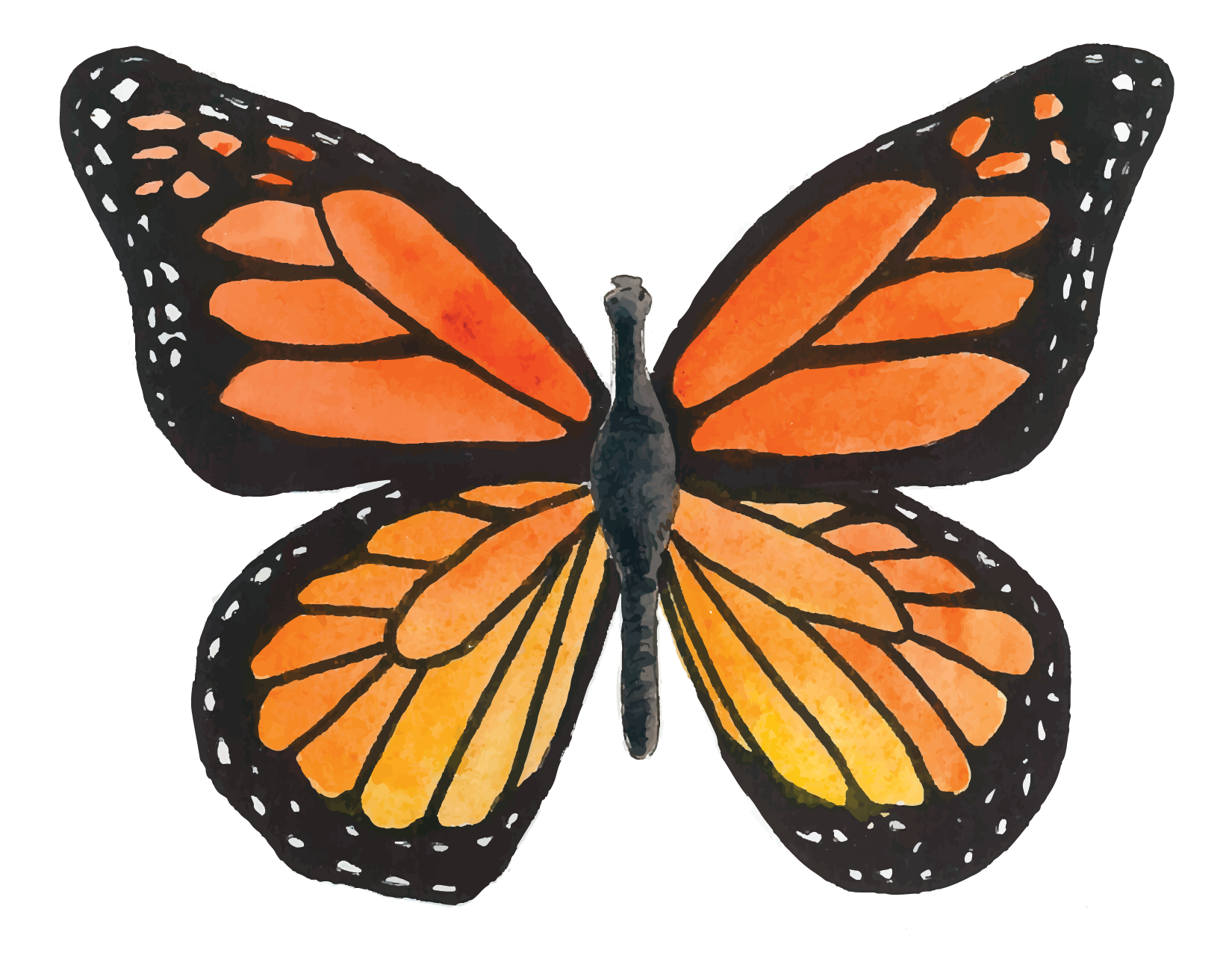 Monarch Butterfly Notecard – Flower and Vine