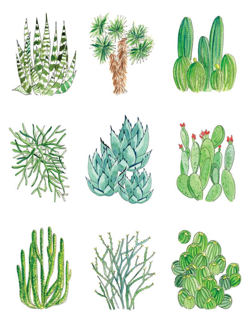 Cactus Collage Notecard