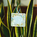 1 Thessalonians Ornament